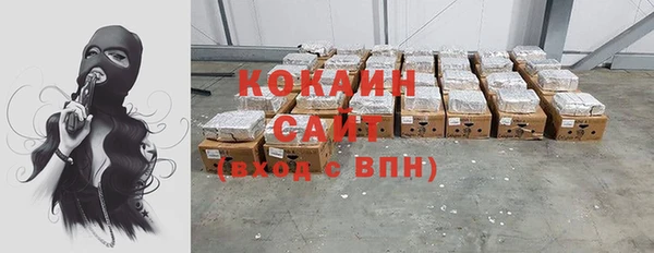 прущие грибы Алзамай