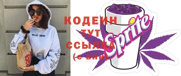 прущие грибы Алзамай