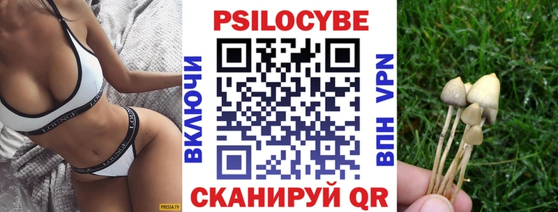 кракен ССЫЛКА Биробиджан даркнет формула Псилоцибиновые грибы GOLDEN TEACHER
