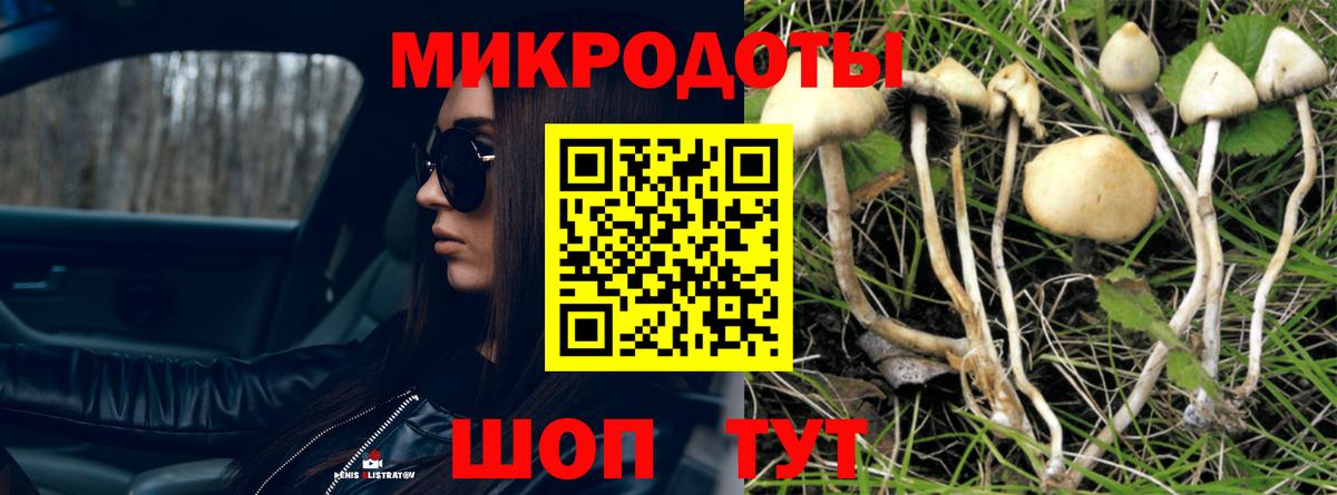 Псилоцибиновые грибы мухоморы Биробиджан
