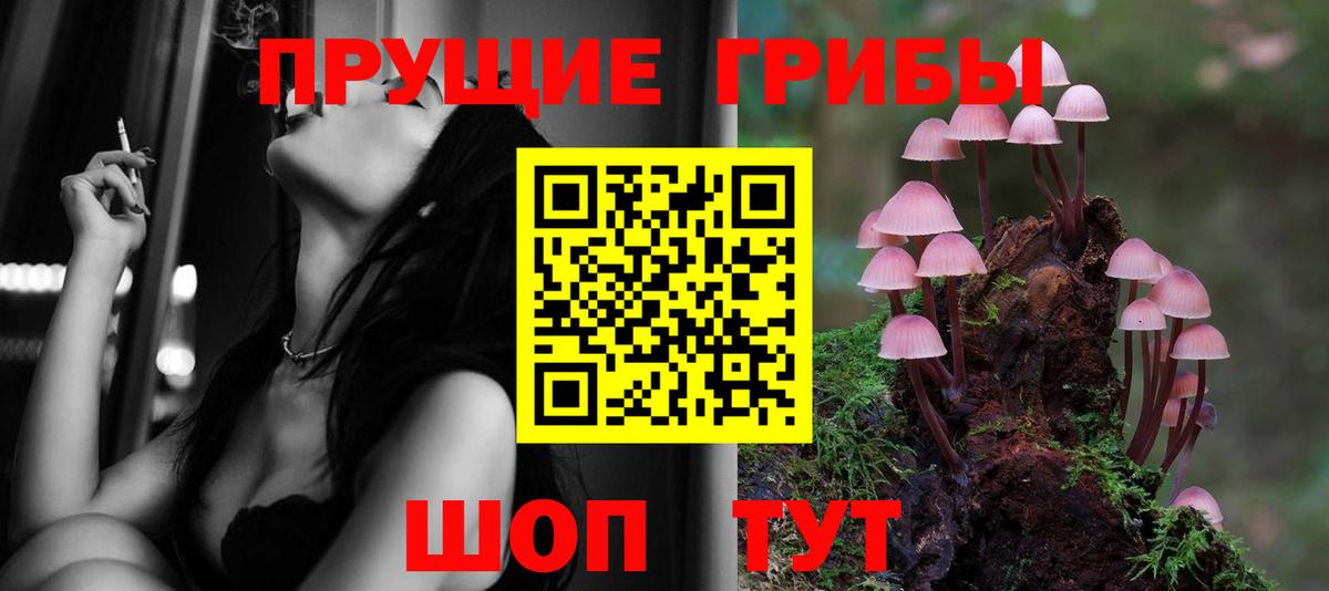 Биробиджан  Галлюциногенные грибы мицелий  где продают   Вход с VPN 