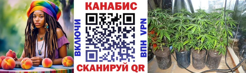 это телеграм  Биробиджан  Канабис THC 21%  наркошоп 