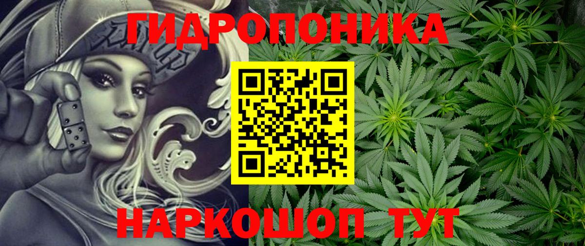 Конопля OG Kush Биробиджан